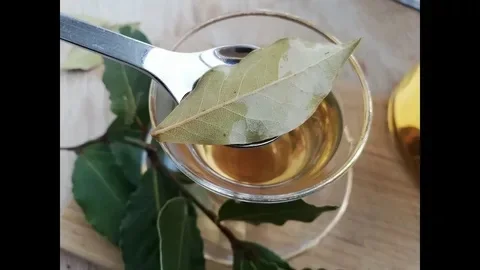 Hatha-jooga