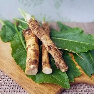 Vesiliikunta ja uinti